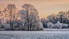 Winterlandschaft_00674_A-7R-III-