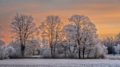 Winterlandschaft_00675_A-7R-III-