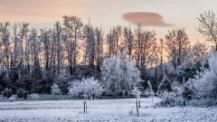 Winterlandschaft_00676_A-7R-III-