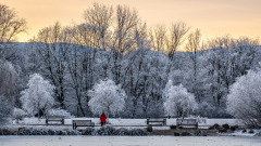 Winterlandschaft_00695_A-7R-III