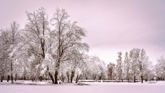 Winterlandschaft_8058_A-7R-III