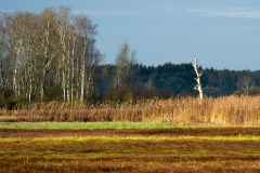 66a-Herbststimmung-Elisabeth