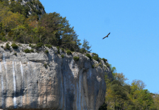Gorges-de-Nesque-3