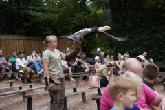 Vogelpark_14