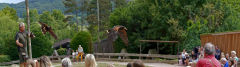 Vogelpark_17