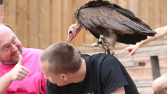 Vogelpark_31