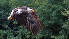 Vogelpark_37