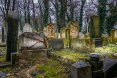 Bernard-Guillen-Judenfriedhof-in-Krakau