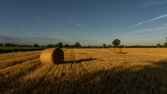 Der-Herbst-rueckt-naeher