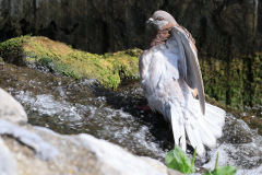 22-04-5-FF-Madame-beim-Baden2