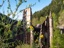 20_Klosterruine