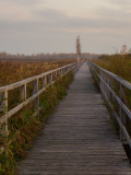 10-Bruecke-in-die-Natur-am-Federsee