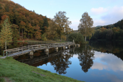 Holzbrücke-trägt-den-Herbst